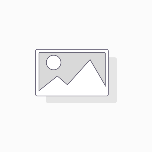 WEBPAY KG