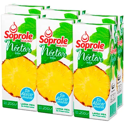 [685] Jugo 200 Cc Soprole