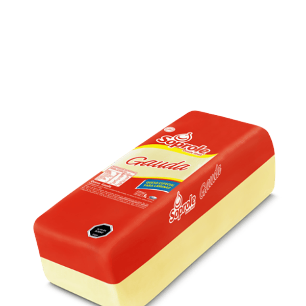 [464] Queso Gauda Barra Soprole